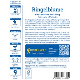 Kiepenkerl Ringelblume Fiesta Gitana Mischung