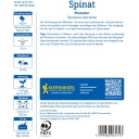 Kiepenkerl Spinat Matador, Vorteilspackung