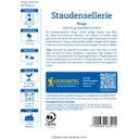 Kiepenkerl Staudensellerie Tango