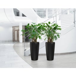 Lechuza Plantenbak Rondo Premium 32 - Zwart mat