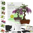 Cultivea Bonsai-Set 
