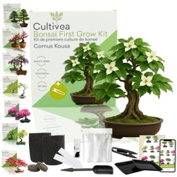 Cultivea Bonsai-Set 