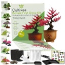 Cultivea Bonsai-Set 