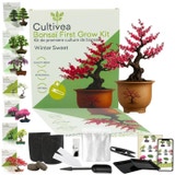 Cultivea Bonsai-Set "Winter Sweet"