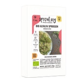 Sprout.ing Organic alfalfa lucerne