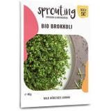 Sprout.ing Organic broccoli