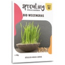 Sprout.ing Erba di grano biologica