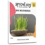 Sprout.ing Organic wheatgrass