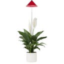 Venso SUNLiTE Plant Lamp 7W - Red