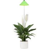 Venso SUNLiTE Pflanzenlampe 7W