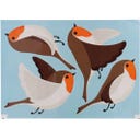 Esschert Design Window Stickers - Birds - 1 item