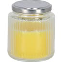Esschert Design Citronella sveča v kozarcu
