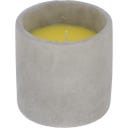 Esschert Design Candela alla Citronella in Cemento