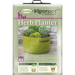 Vigoroot növénytáska fűszernövények termesztésére - 1 db