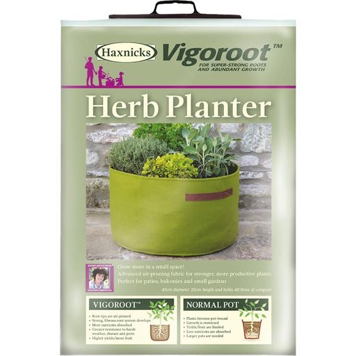 Haxnicks Vigoroot Herb Planter - 1 pz.