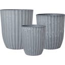 Yodit Planter Set of 3, Grey