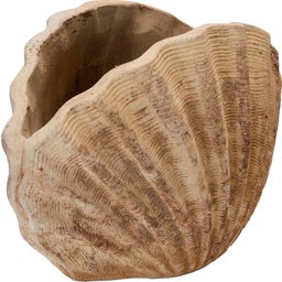 Wikholm Form Vaso Conchiglia Shell - 1 pz.