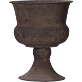 Wikholm Ragna Pflanzpokal rost