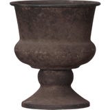 Wikholm Ragna Pflanzpokal rost