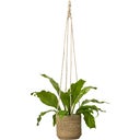 Wikholm Belle Hanging Planter, natural - 1 item