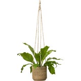 Wikholm Belle Hanging Planter, natural