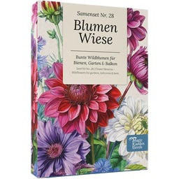 Magic Garden Seeds kvetinová lúka - sada semien - 1 sada