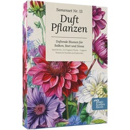 Conjunto de Sementes - Plantas Perfumadas - 1 Set