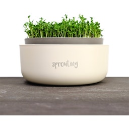 Sprout.ing Anzuchtschale - Einfach