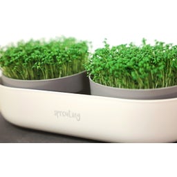Sprout.ing Growing tray - Double