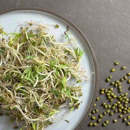 Sprout.ing Bio Mungbohne