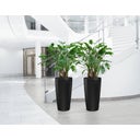 Lechuza RONDO Premium 32 Planter - black matte
