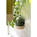 Wikholm Lola ptičja hišica - zelena