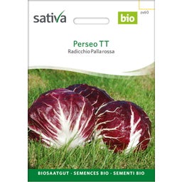 Sativa Bio Radicchio Palla rossa 