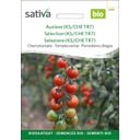 Sativa Bio Cherrytomate 