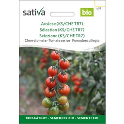 Sativa Bio Cherrytomate 