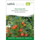 Sativa Biologische Balkontomaat "Sterntaler KS"