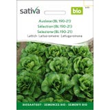 Sativa Romansallat "Pulcinella", Eko