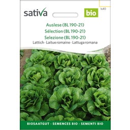 Sativa Bio Kopfsalat 