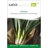 Sativa Vinterpurjol&ouml;k "Atlanta", Eko