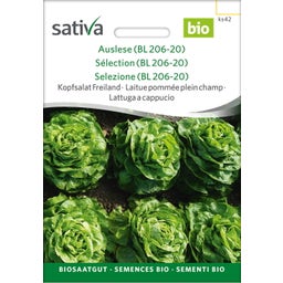 Sativa Bio Kopfsalat Freiland 