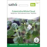 Bio Zioła "Kalaminta mniejsza podgat. mniejszy White Cloud"