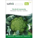 Sativa Bio Blumenkohl 