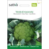 Sativa Bio Kalafior "Verde di macerata"