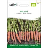 Sativa Bio mrkev "Miso"