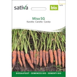 Sativa Bio Karotte 