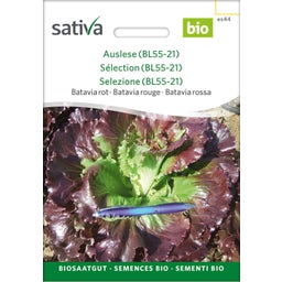 Sativa Bio Kopfsalat 