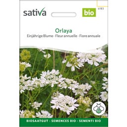 Sativa Bio Einjährige Blume 