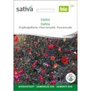 Sativa Bio Einjährige Blume 