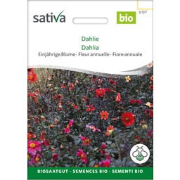 Sativa Bio Einjährige Blume 