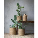 Wikholm Form Set di 5 Vasi Belle - Naturale - 1 set